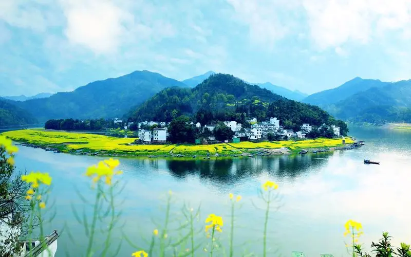 创新创新高质量